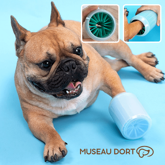 Lave Patte Chien | Fini les Traces de Boue à la Maison - Museau dort