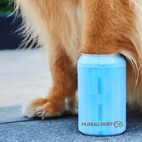 Lave Patte Chien | Fini les Traces de Boue à la Maison - Museau dort