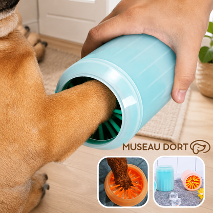 Patte de chien nettoyée dans un lave-pattes bleu avec brosse souple en silicone à l’entrée de la maison