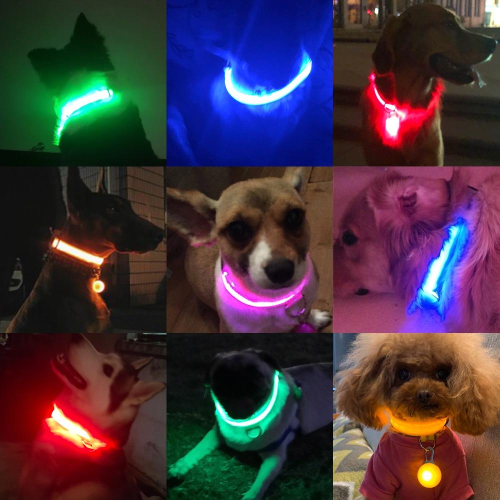 LedCollar™ - Collier à LED rechargeable pour chien - Museau dort