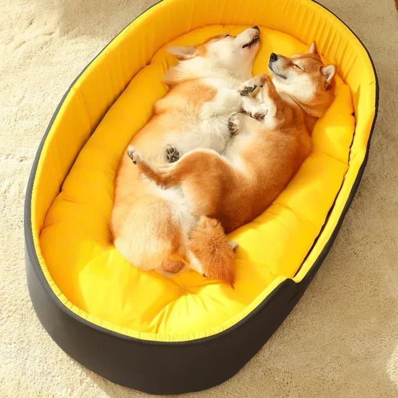Lit Doux pour Chien et Chat 🐾 | Confort Moelleux et Lavable - Museau dort