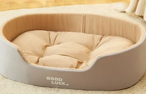 Lit Doux pour Chien et Chat 🐾 | Confort Moelleux et Lavable - Museau dort