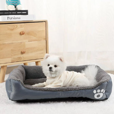 Petit chien couché dans un lit et coussin pour chien gris, moelleux et lavable – Disponible chez Museau Dort