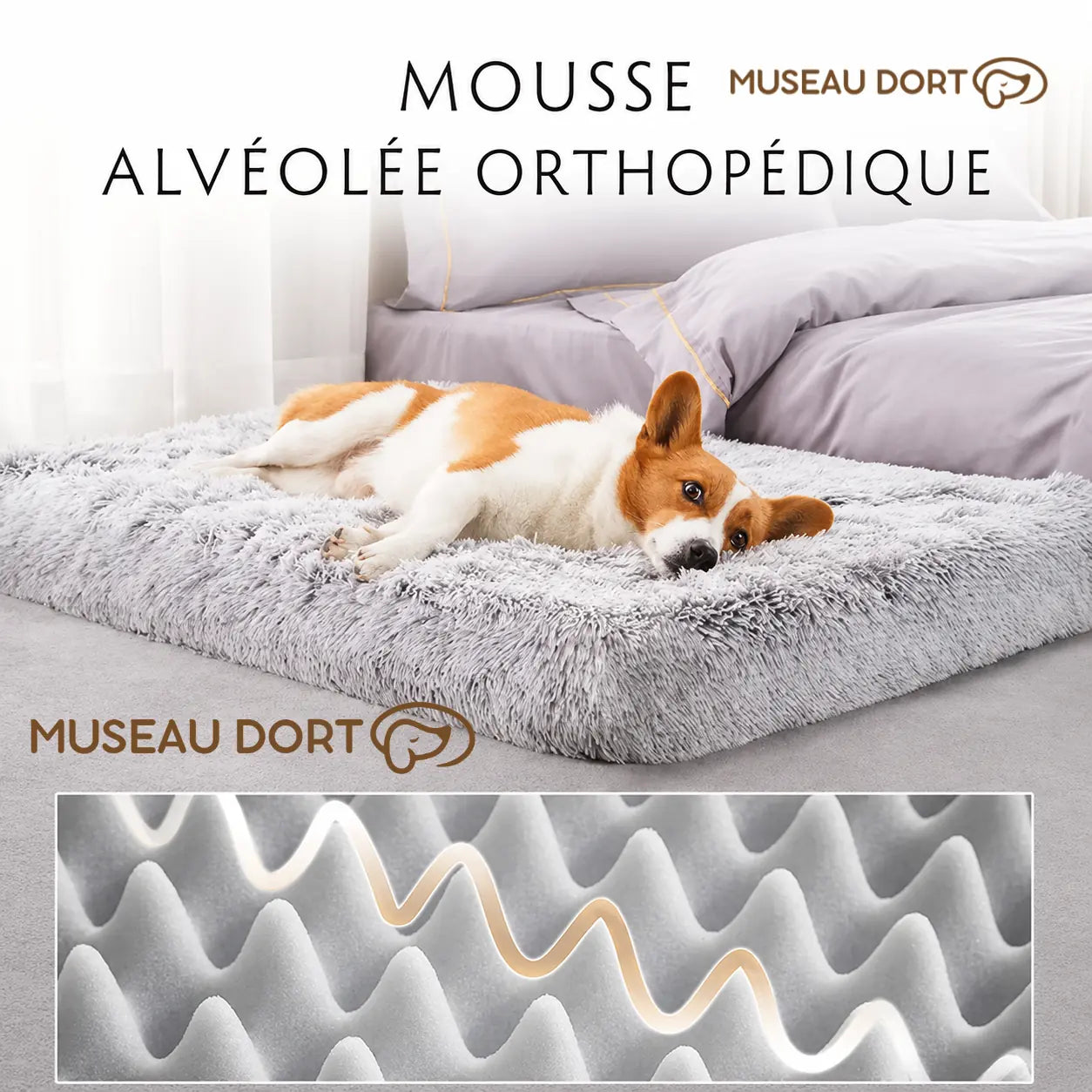 Corgi couché sur un lit orthopédique pour chien en mousse alvéolée Museau Dort