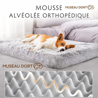 Corgi couché sur un lit orthopédique pour chien en mousse alvéolée Museau Dort