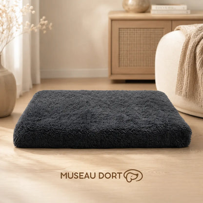 Lit orthopédique gris foncé pour chien senior dans un salon lumineux, avec logo Museau Dort