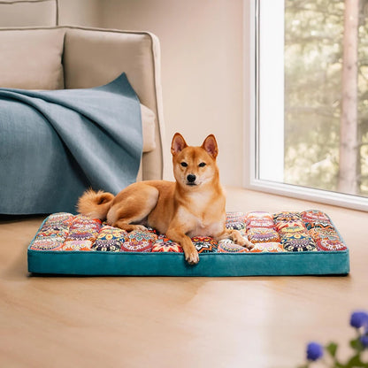 Chien allongé sur un lit orthopédique marocain pour chien, coussin lavable et antidérapant dans un salon lumineux. Disponible chez Museau Dort.