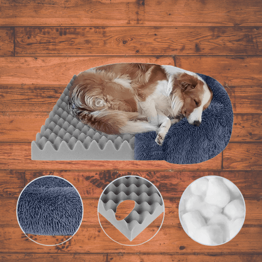 lit orthopédique pour chien - Museau dort