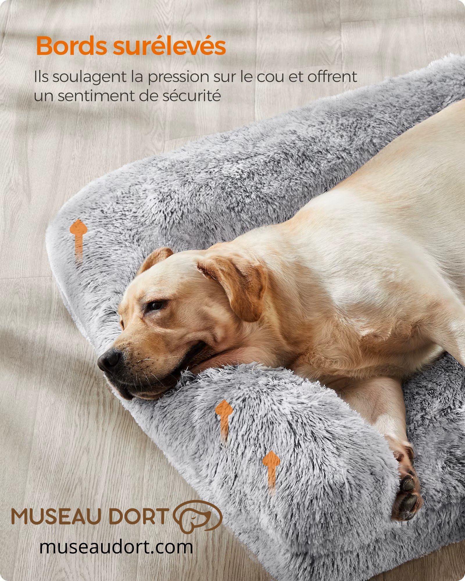 Lit pour chien avec bords surélevés soulageant le cou et les articulations Museau Dort
