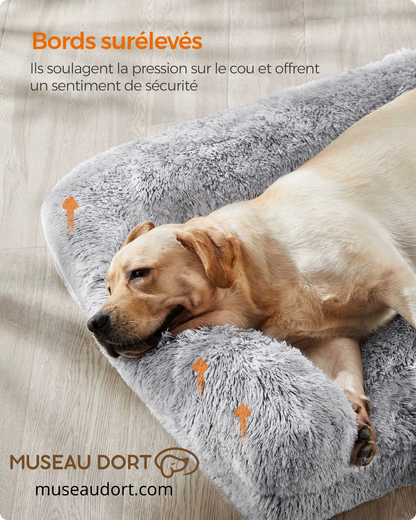 Lit pour chien avec bords surélevés soulageant le cou et les articulations Museau Dort