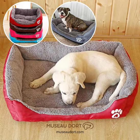 Lit pour chien cocon avec rebords, chien allongé confortablement et présentation de plusieurs couleurs, Museau Dort