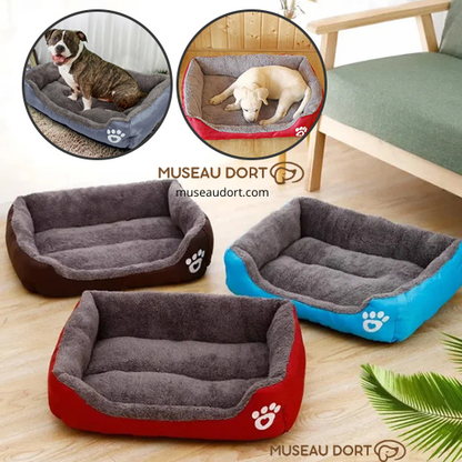 Lit pour chien cocon en plusieurs couleurs avec rebords, chiens confortablement installés dans un intérieur lumineux,