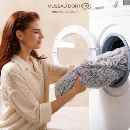 Lit pour chien housse lavable en machine entretien facile Museau Dort