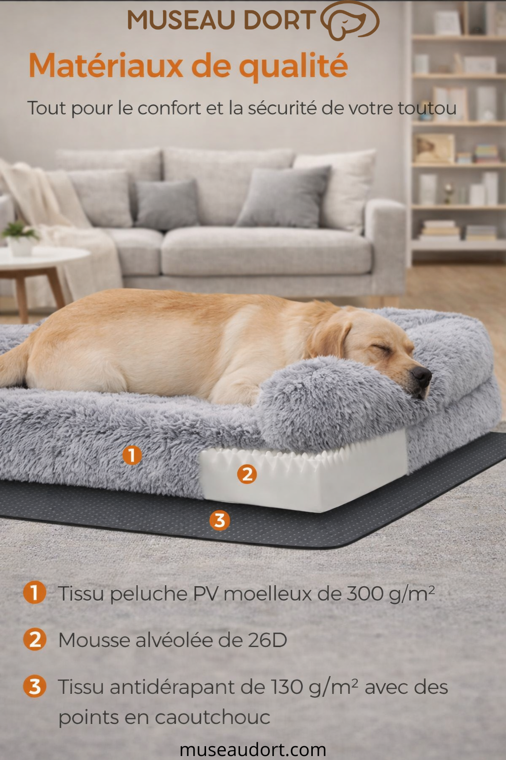 Lit pour chien mousse 26D et base antidérapante soutien articulaire Museau Dort