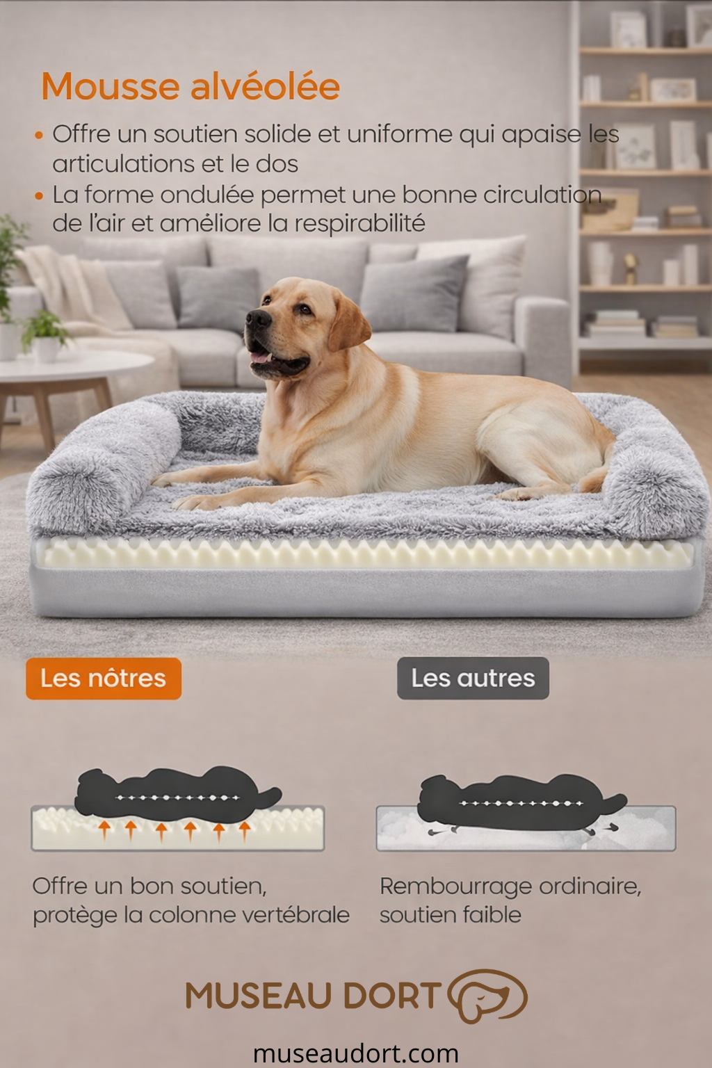 Lit pour chien avec mousse 26D soutien articulaire pour chien âgé salon moderne Museau Dort