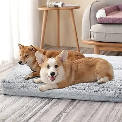 lit pour chien orthopédique - Museau dort