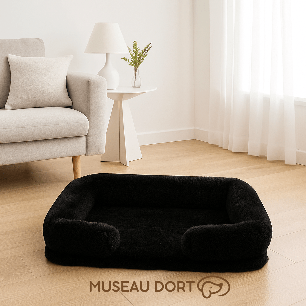 Lit pour chien confortable et orthopédique noir dans un salon moderne, couchage doux et stable pour le repos Museau Dort