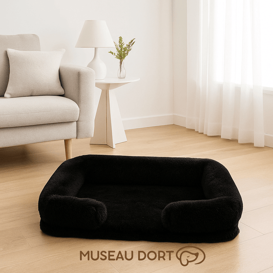 Lit pour chien confortable et orthopédique noir dans un salon moderne, couchage doux et stable pour le repos Museau Dort