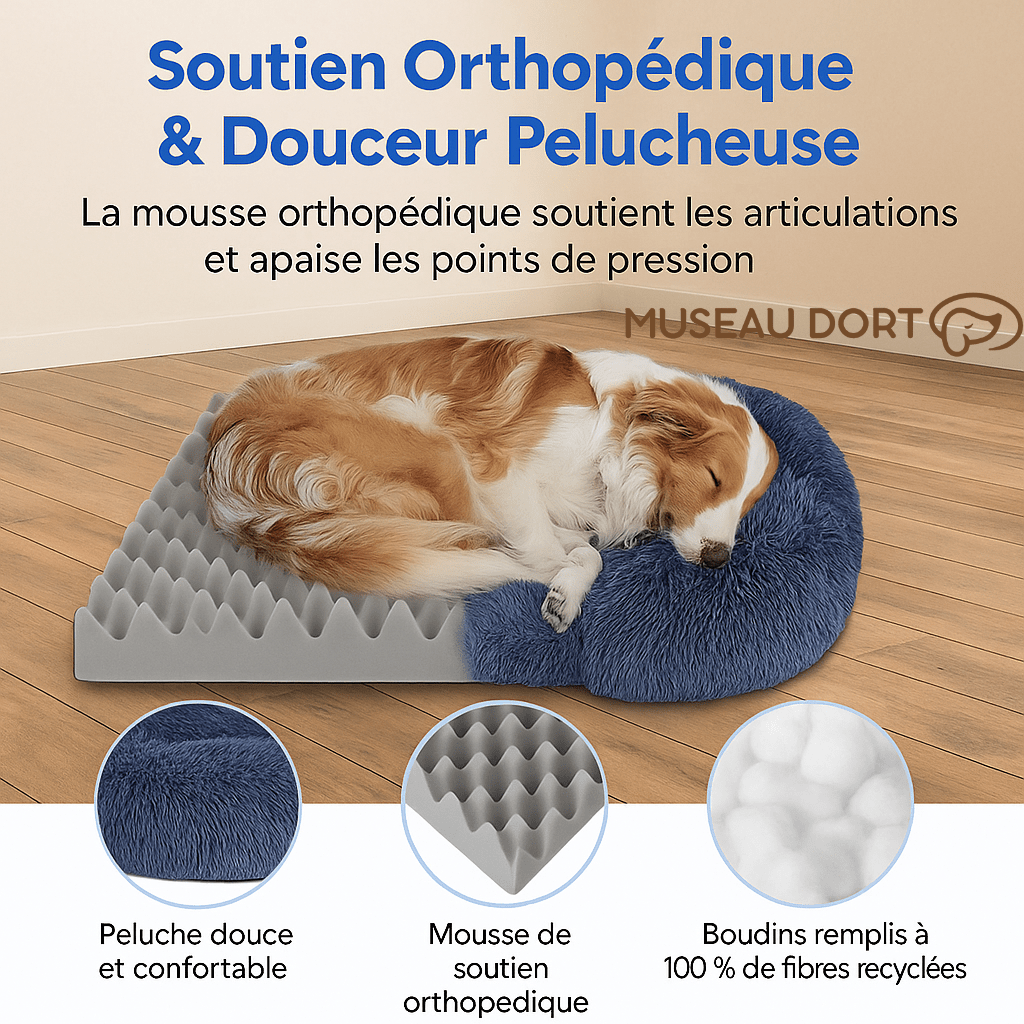 Lit pour chien orthopédique avec mousse mémoire et peluche douce, soutien des articulations et confort durable Museau Dort