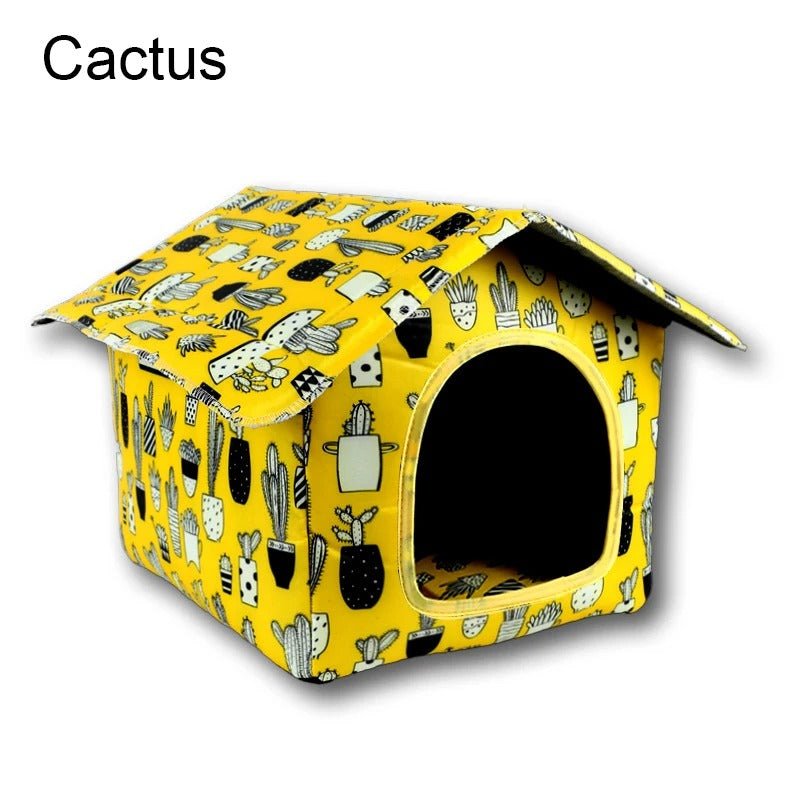 Maison Cactus pour Chien – Un Nid Stylé Pour les Siestes Bien Méritées - Museau dort