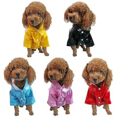 🐶 Manteau Imperméable pour Chien – DoggyJack™, Protection et Confort ! - Museau dort