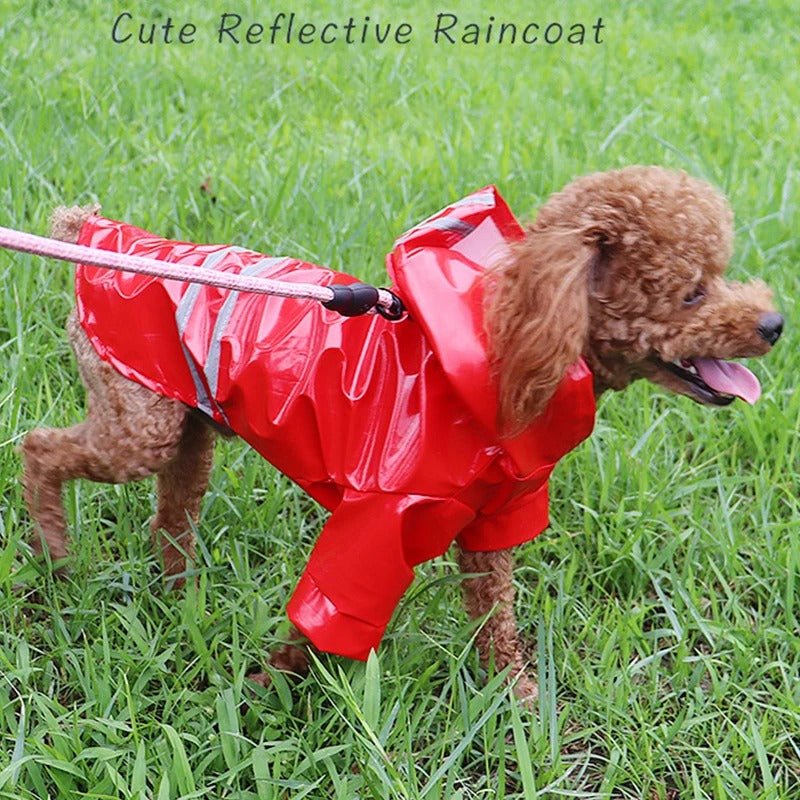 🐶 Manteau Imperméable pour Chien – DoggyJack™, Protection et Confort ! - Museau dort