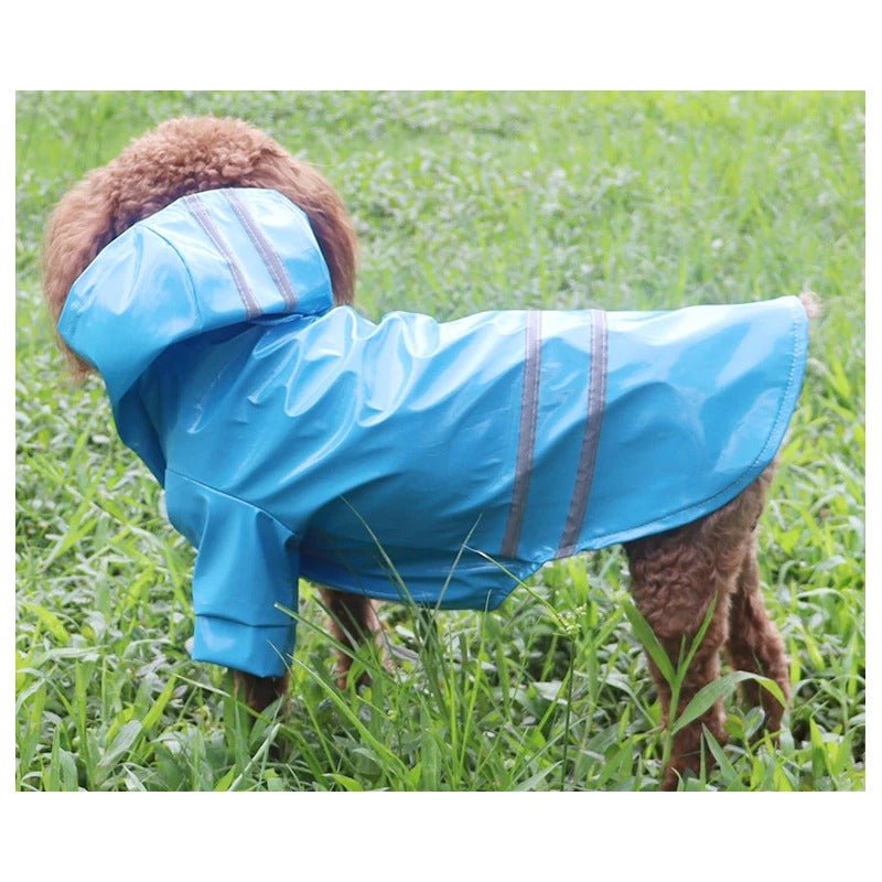 🐶 Manteau Imperméable pour Chien – DoggyJack™, Protection et Confort ! - Museau dort