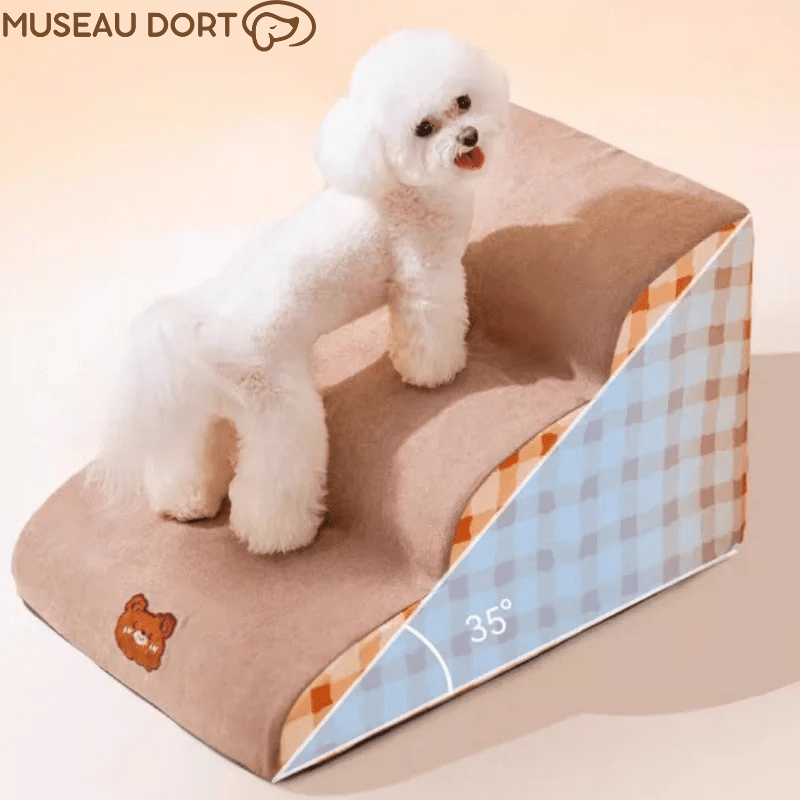 Marche pour Chien en Mousse | Confort et Sécurité Sans Effort - Museau dort
