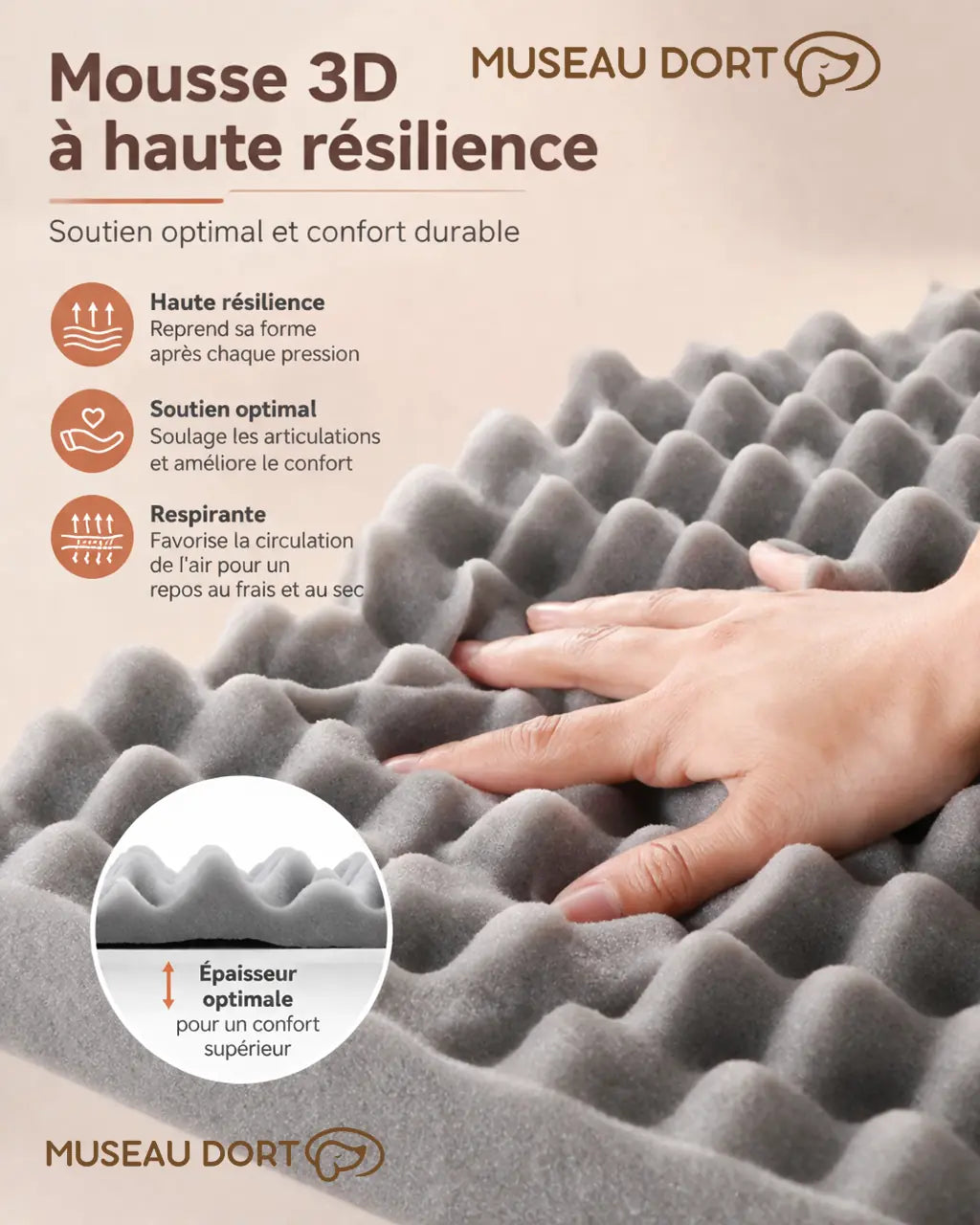 Mousse 3D haute résilience du coussin pour chien, soutien durable, disponible chez Museau Dort