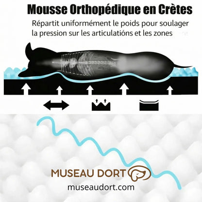 Schéma de mousse orthopédique en crêtes pour coussin de chien âgé, soutien articulaire – Museau Dort