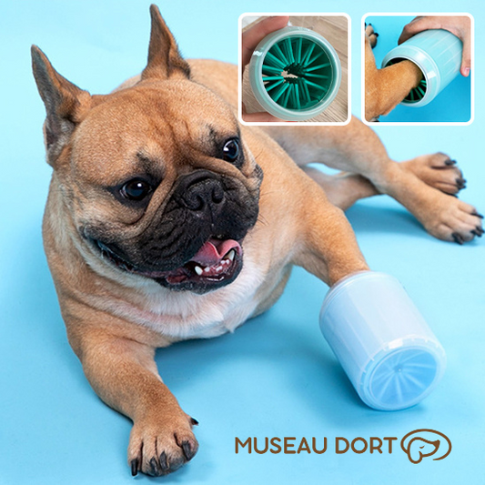 Chien avec nettoyeur de patte bleu et brosses souples intégrées – Disponible chez Museau Dort