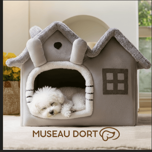 Niche d'Intérieur pour Chien – Confort et Sécurité Toute l’Année - Museau dort