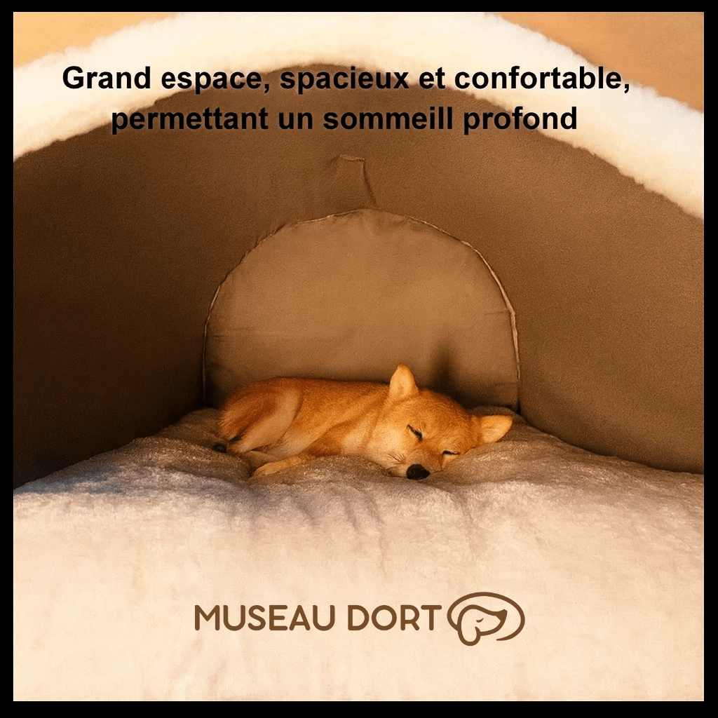Niche d’Intérieur pour Chien – Un Refuge Confortable Toute l’Année - Museau dort