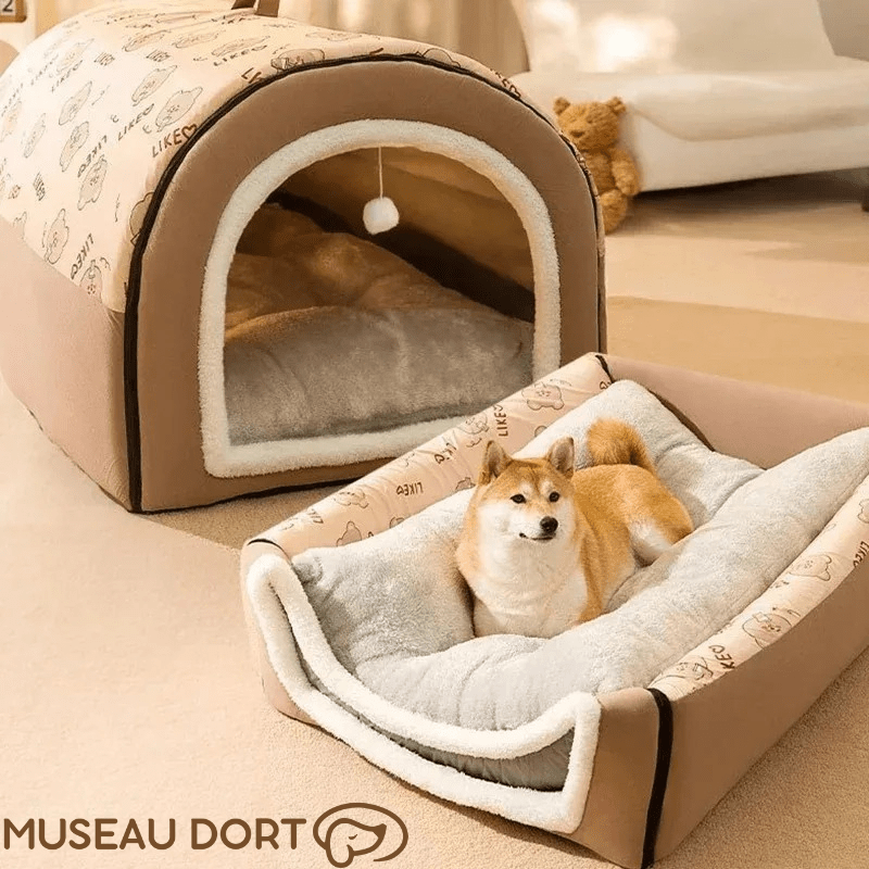 Niche d’Intérieur pour Chien – Un Refuge Confortable Toute l’Année - Museau dort