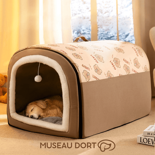 Niche d’Intérieur pour Chien – Un Refuge Confortable Toute l’Année - Museau dort
