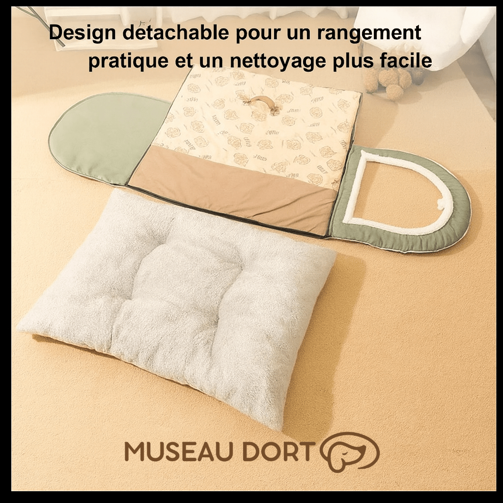 Niche d’Intérieur pour Chien – Un Refuge Confortable Toute l’Année - Museau dort