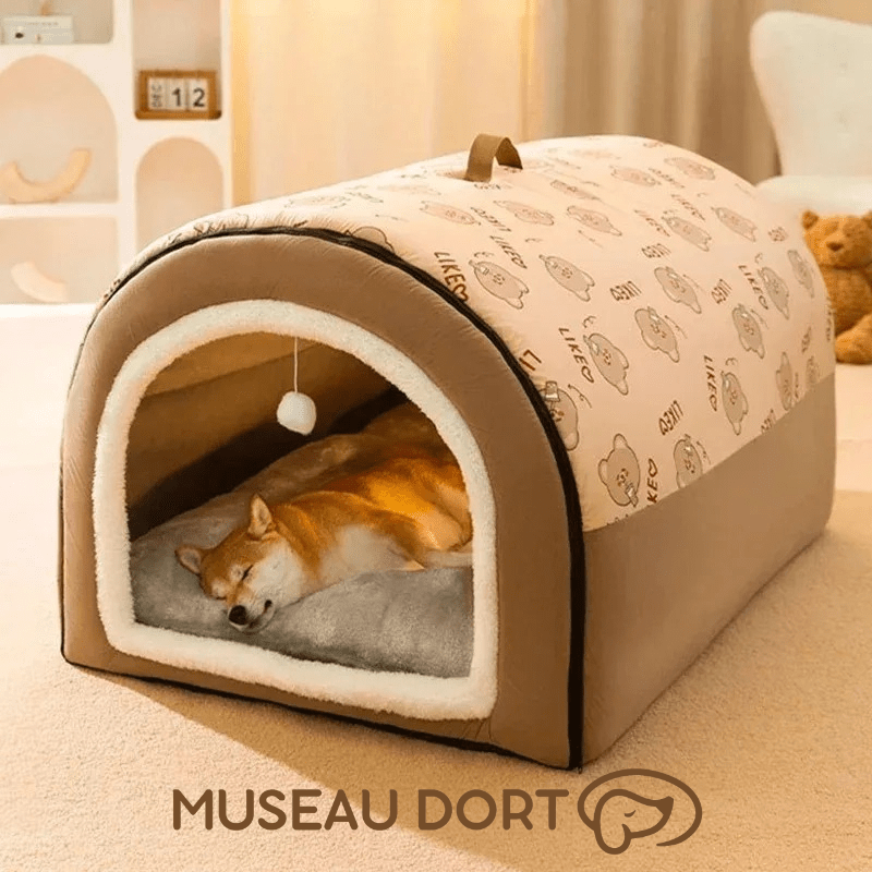 Niche d’Intérieur pour Chien – Un Refuge Confortable Toute l’Année - Museau dort