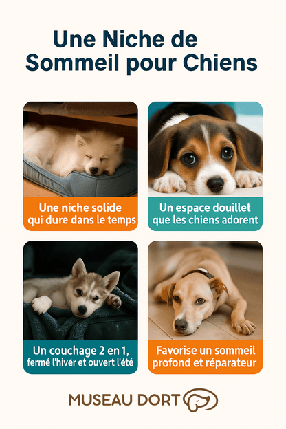 Niche d’Intérieur pour Grand Chien | Le Refuge Douillet de Véronique & Jazz - Museau dort