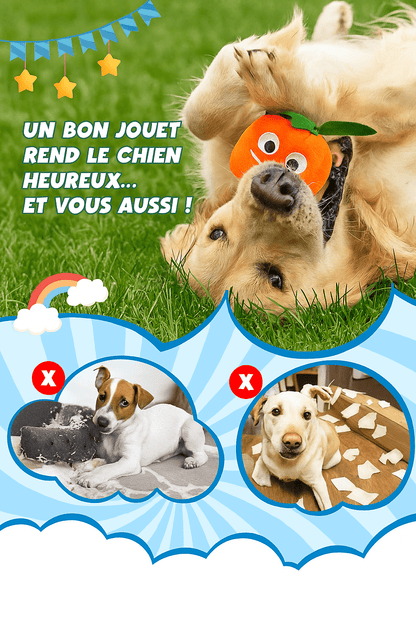 Chien heureux avec un jouet peluche orange, parfait pour occuper et apaiser votre animal. Evitez les dégâts à la maison ! Disponible chez Museau Dort.