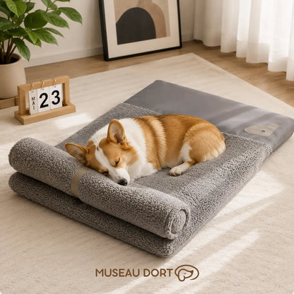Petit chien endormi sur un coussin gris avec traversin, dans un salon moderne, pour un repos confortable.