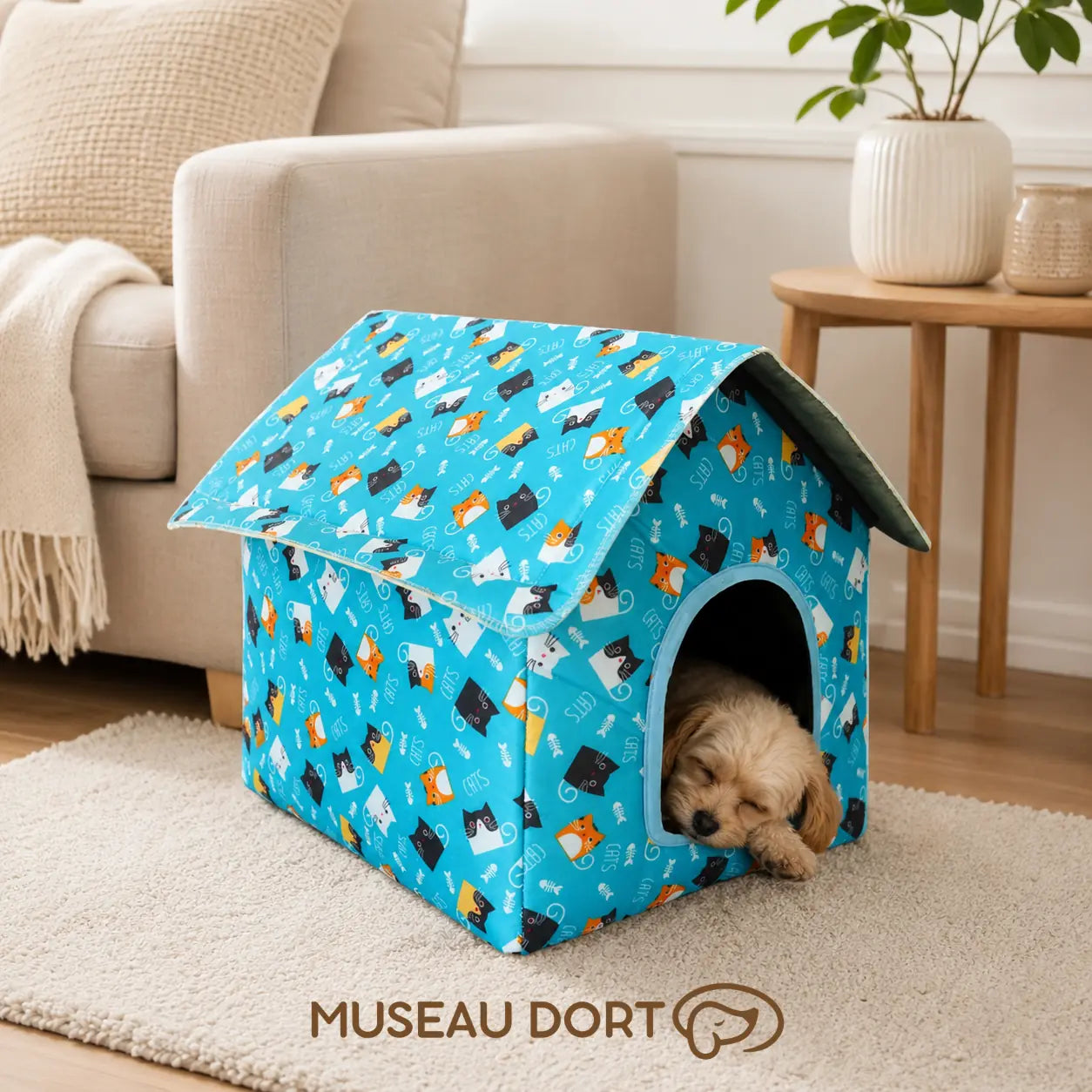 Petit chien endormi dans une niche intérieure bleue à motifs chats, installée dans un salon moderne et lumineux.