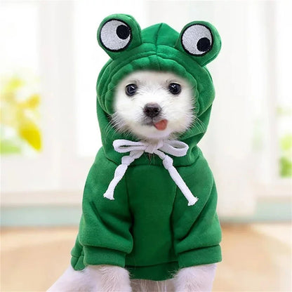 Petit chien portant un sweat à capuche grenouille vert, doux et chaud pour l’automne
