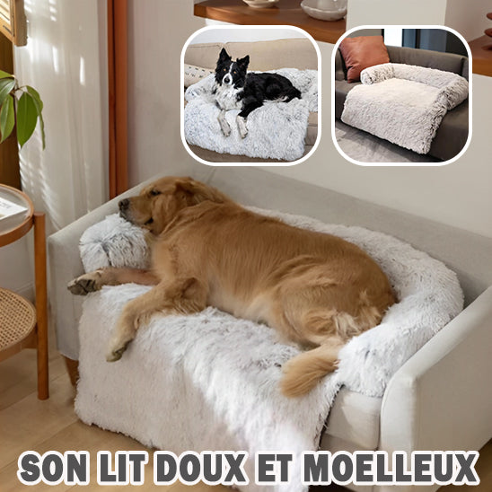 Image d'un chien dormant sur un protecteur de canapé installé sur un fauteuil avec deux images en médaillon, un chien de type berger australien noir et blanc couché sur un protecteur de canapé qui est installé sur un canapé démontrant le confort du produit et la deuxième image est un protecteur de canapé pour chien installé de façon pour démontrer l'apparence du produit