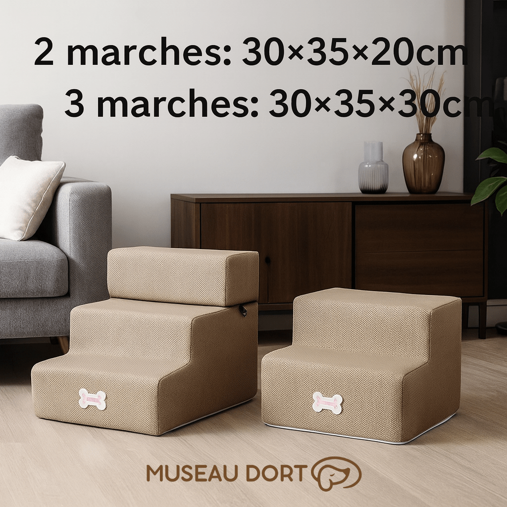 Rampe pour chien 2 et 3 marches beige avec dimensions 30x35x20 cm et 30x35x30 cm, modèle intérieur Museau Dort