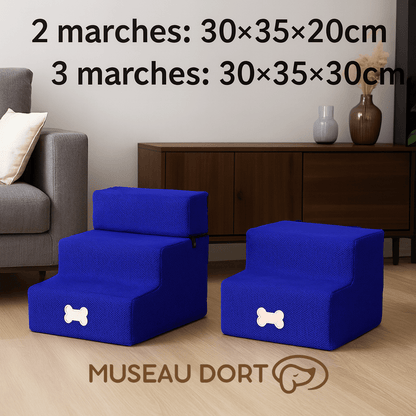 Rampe pour chien 2 et 3 marches bleue avec dimensions 30x35x20 cm et 30x35x30 cm, modèle intérieur Museau Dort