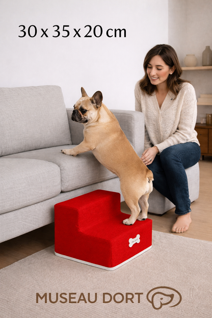 Rampe pour chien 2 marches 30x35x20 cm, bouledogue français montant sur canapé sous le regard de sa propriétaire Museau Dort