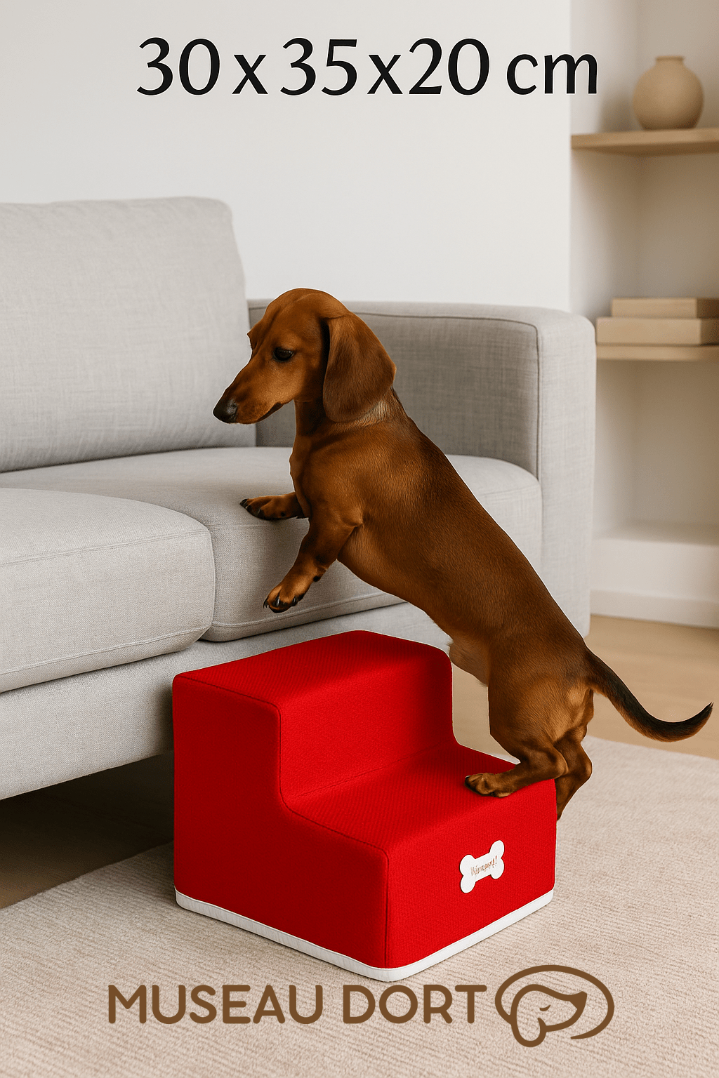 Rampe pour Chien | Santé et Mobilité à Long Terme - Museau dort