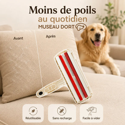Rouleau anti-poils chien avant après sur canapé avec badges réutilisable sans recharge