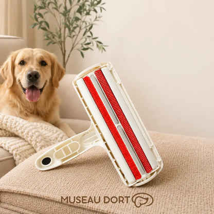 Rouleau anti-poils réutilisable pour chien posé sur canapé avec chien en arrière-plan