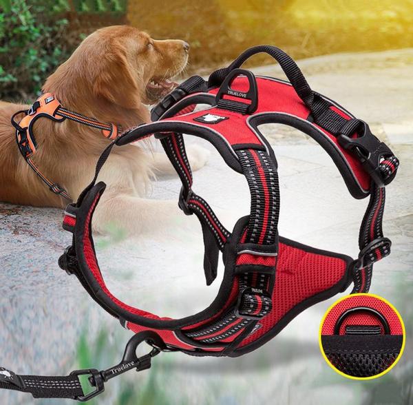 SafetyHarness™ - Harnais pour animal de compagnie - Museau dort